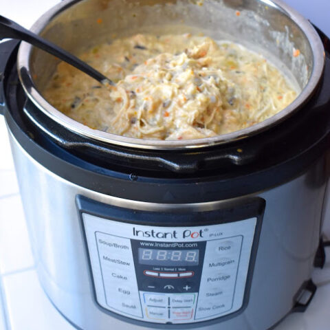 nutricook rice recipe